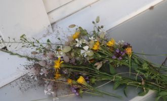 2023.07.13_Donnerstag (72).JPG