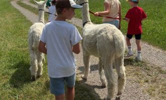 20250614_Chäfer-Fäscht_40.jpg