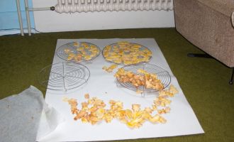 2005 Weihnachten_056.jpg