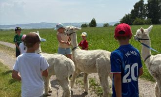 20250614_Chäfer-Fäscht_44.jpg