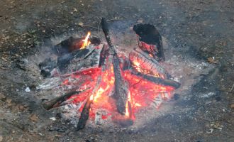 2014_Waldzelten_039.jpg