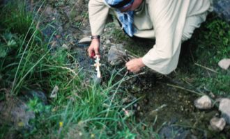 Sola 1994_70.jpg