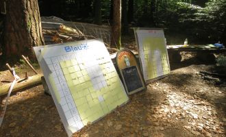 20220514_Geländespiel im Wald_070.jpg