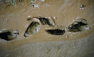 Sola 1994_21.jpg