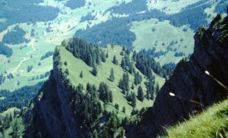 45_Neu St. Johann '91.JPG