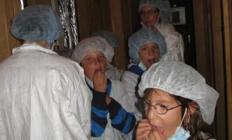 0035 Sola 2008 060708.JPG