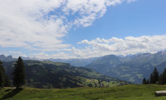 2023.07.08_Samstag (81).JPG