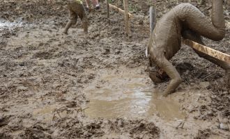 20220820_Dirty Day IV_128.jpg