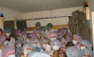 0032 Sola 2008 060708.JPG