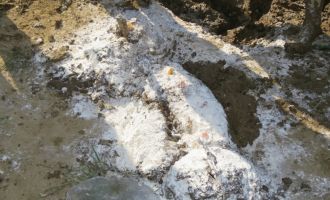 2019_Dirty_Day_083.jpg