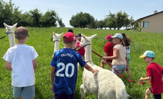 20250614_Chäfer-Fäscht_43.jpg