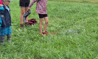 20240817_Highlandgames_019.jpg