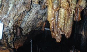 Sola 1993_50.jpg