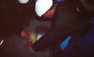 Sola 1998_030.jpg