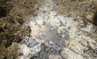 2019_Dirty_Day_081.jpg