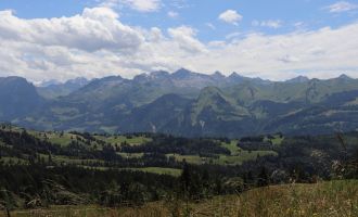 2023.07.08_Samstag (98).JPG